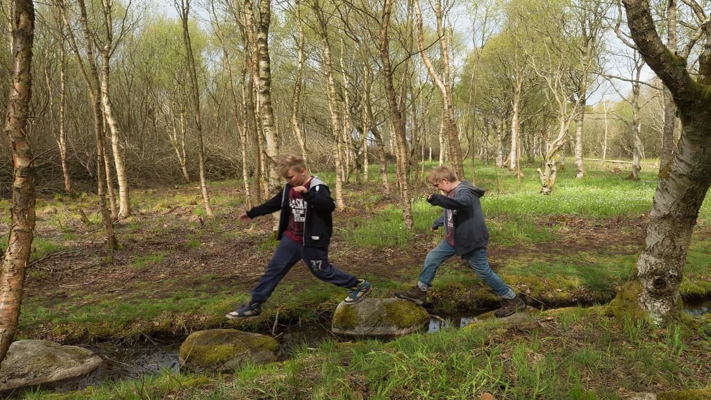 Store Vildmose High Bog