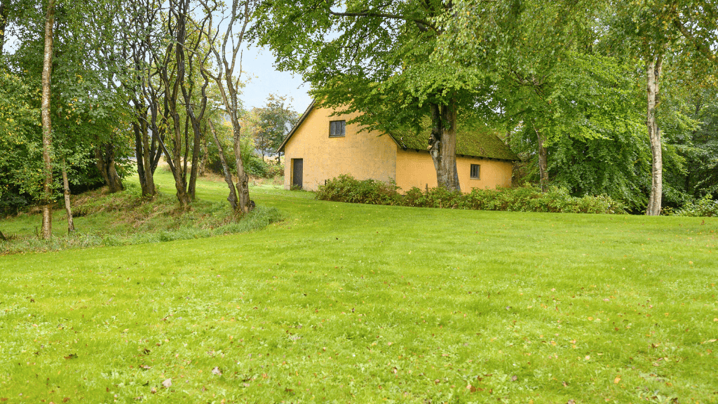 Mill, Bed & Breakfast