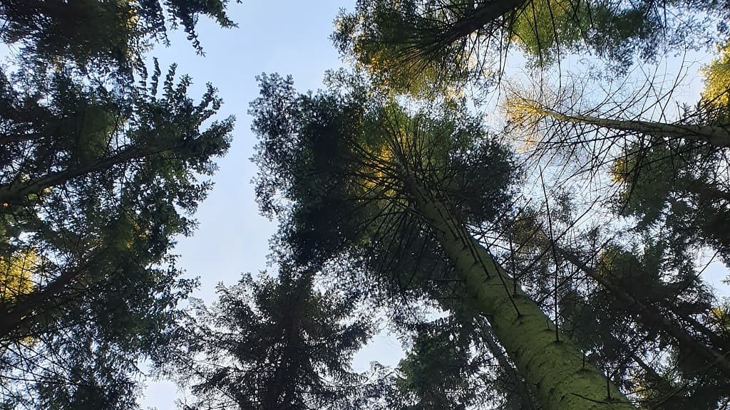 The Giants Backyard - Jætternes Baghave